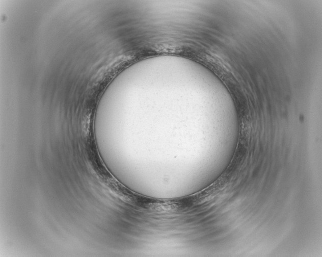 X0000088610652200706221432