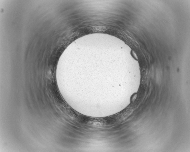 X0000088610655200706221432