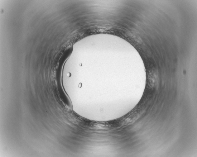 X0000088610657200706221432