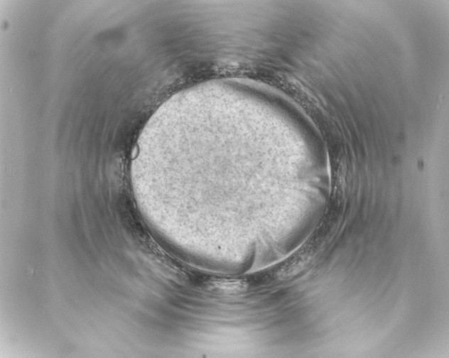 X0000088610659200706221432