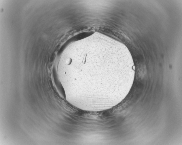 X0000088610661200706221432