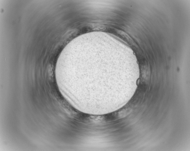 X0000088610667200706221432