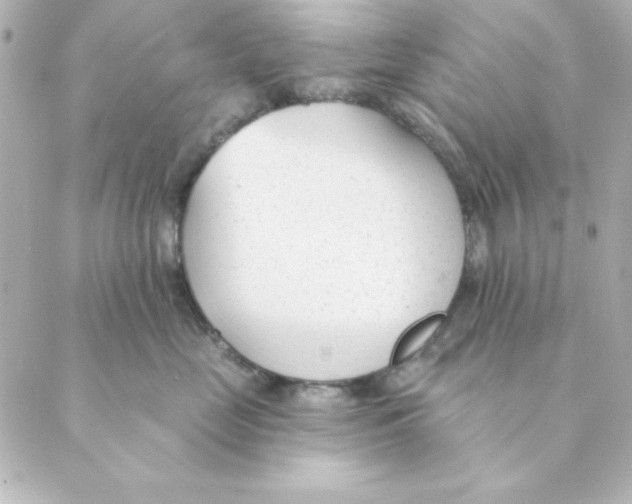 X0000088610669200706221432