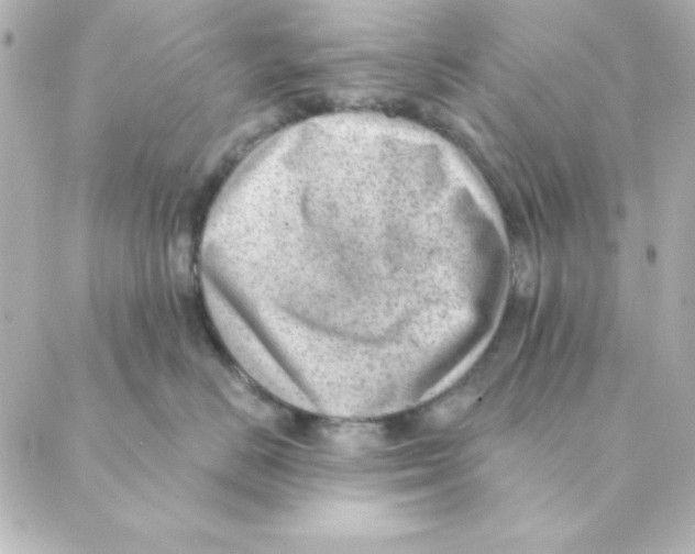 X0000088610670200706221432