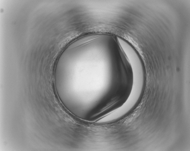 X0000088610673200706221431