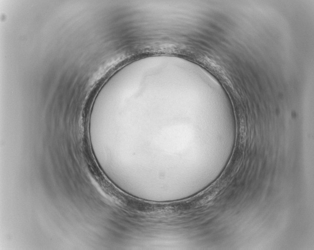 X0000088610674200706221431