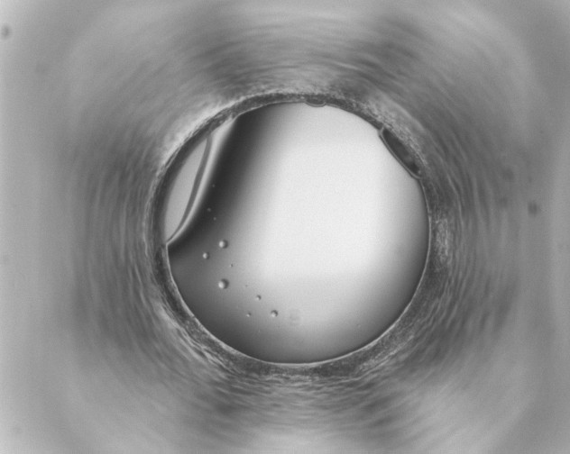 X0000088610676200706221431