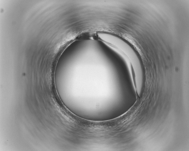 X0000088610677200706221431