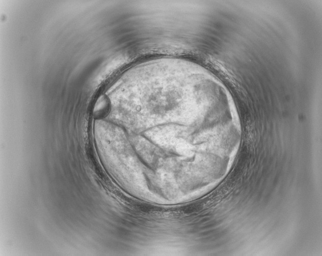 X0000088610679200706221431