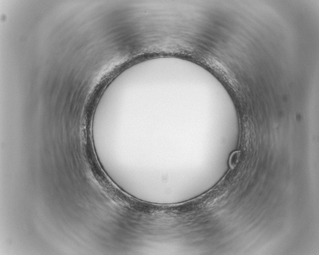 X0000088610680200706221431