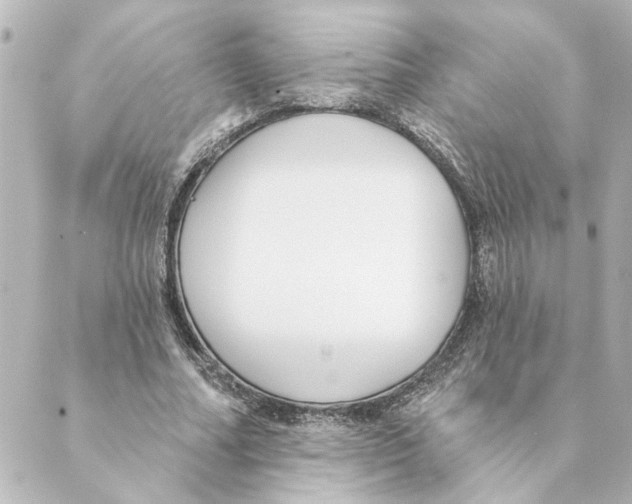 X0000088610682200706221431