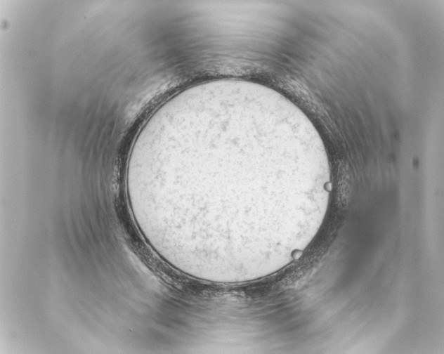 X0000088610683200706221431