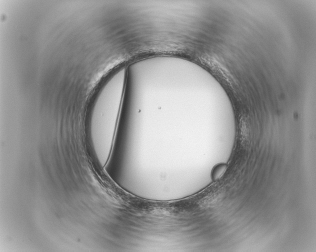 X0000088610684200706221431