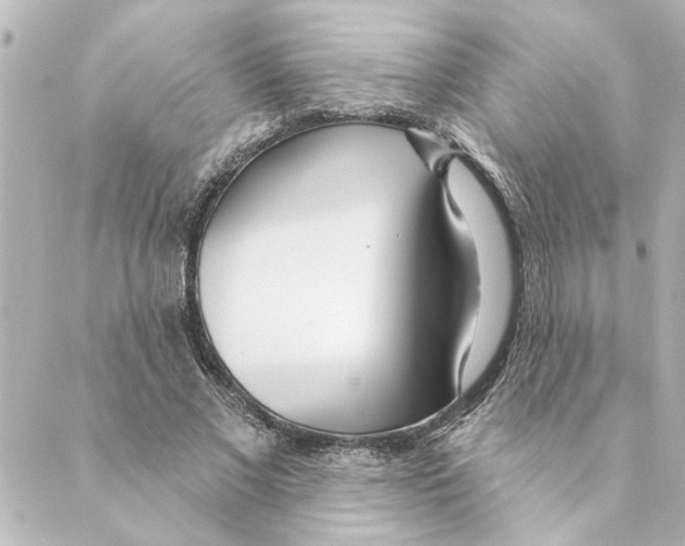 X0000088610685200706221431