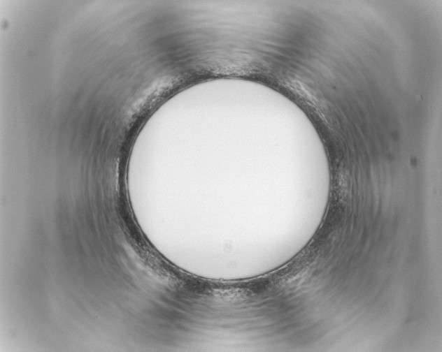 X0000088610686200706221431