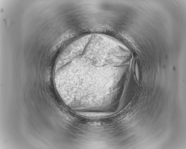 X0000088610687200706221431