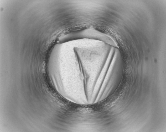 X0000088610689200706221431