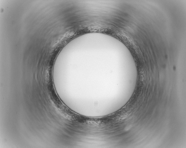 X0000088610690200706221431