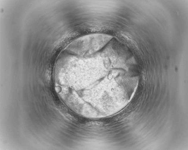 X0000088610691200706221431