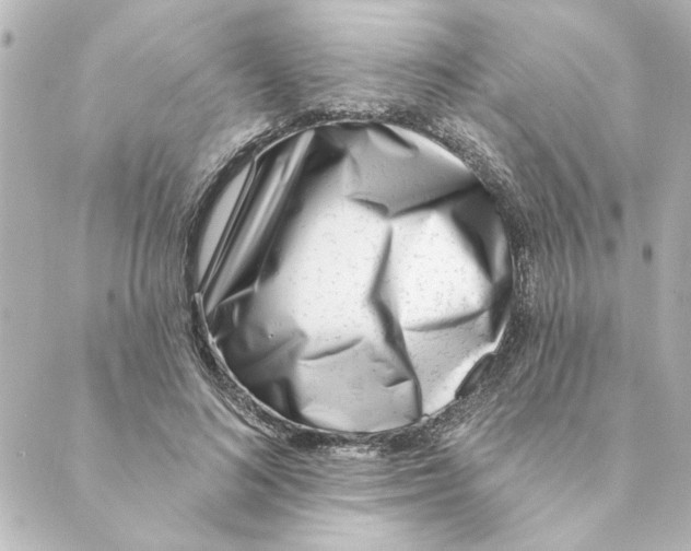 X0000088610692200706221431