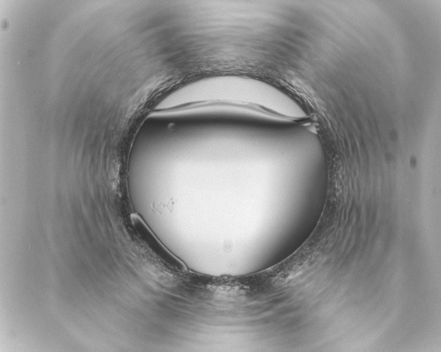 X0000088610693200706221431