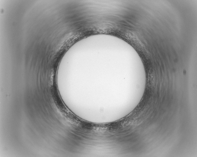 X0000088610694200706221431