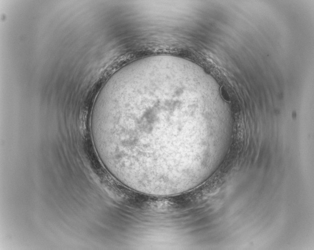 X0000088610695200706221431