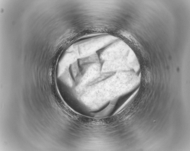 X0000088610696200706221431