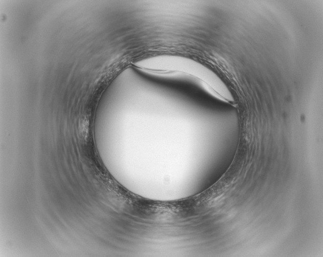 X0000088610697200706221431