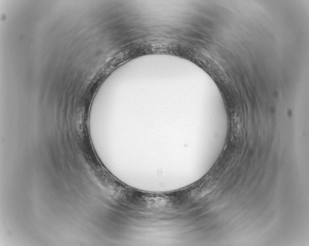 X0000088610698200706221431