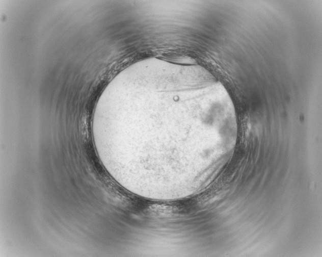 X0000088610699200706221431