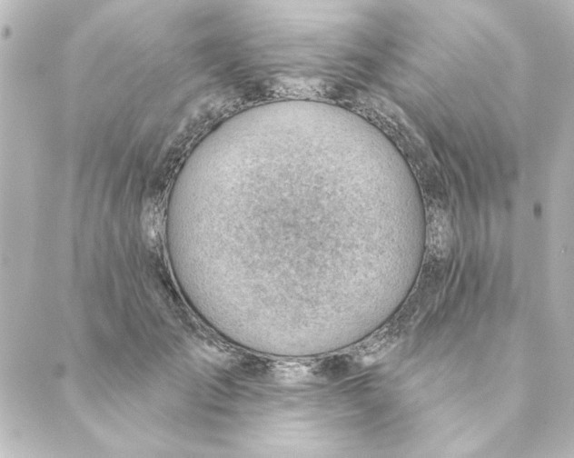 X0000088610701200706221431