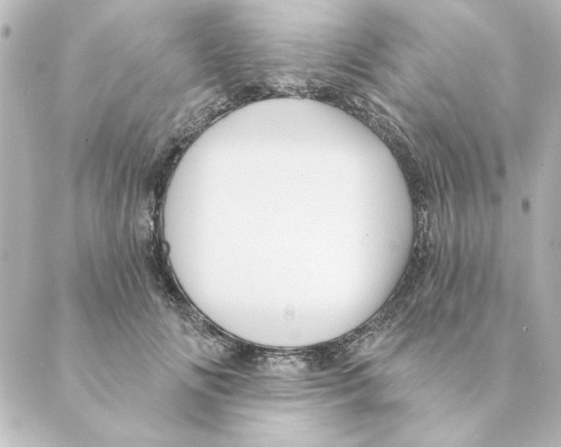 X0000088610702200706221431