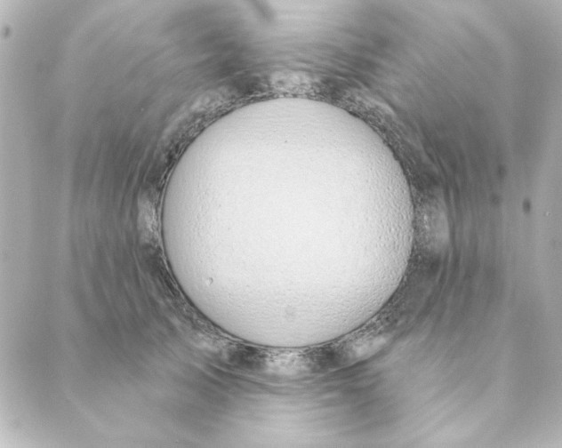 X0000088610705200706221431