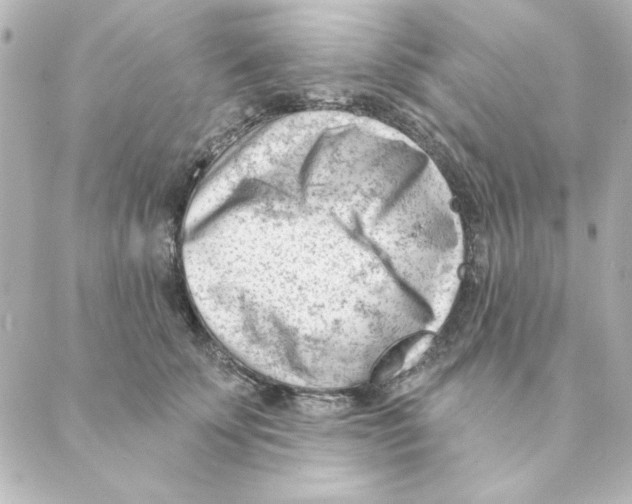 X0000088610707200706221431