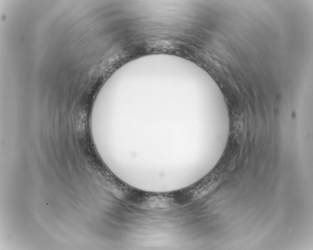 X0000088610708200706221431