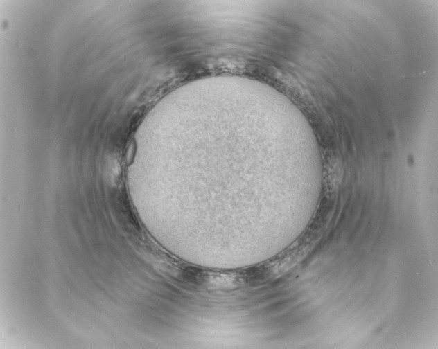 X0000088610709200706221431