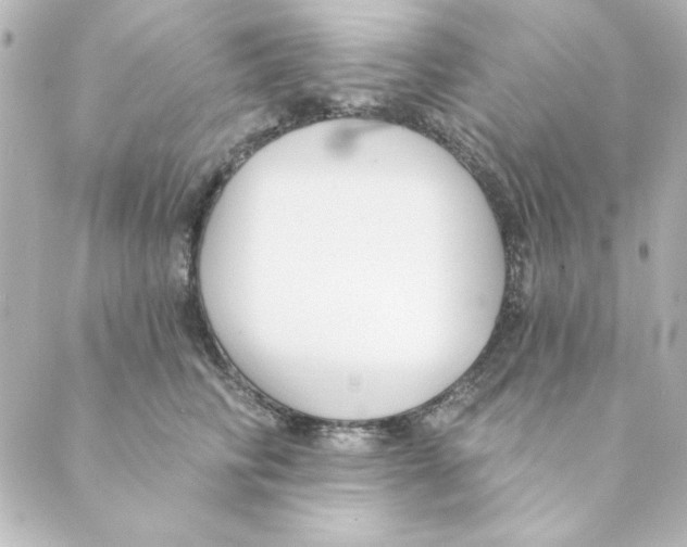 X0000088610710200706221431