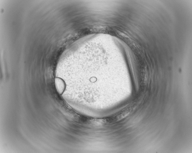 X0000088610711200706221431