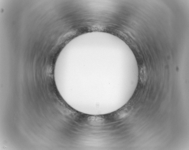 X0000088610714200706221431