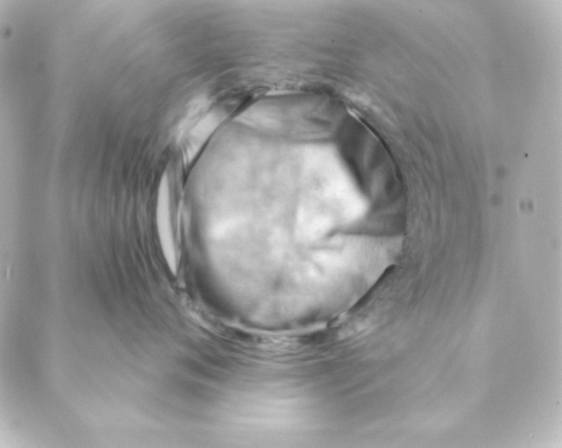 X0000088610720200706221430