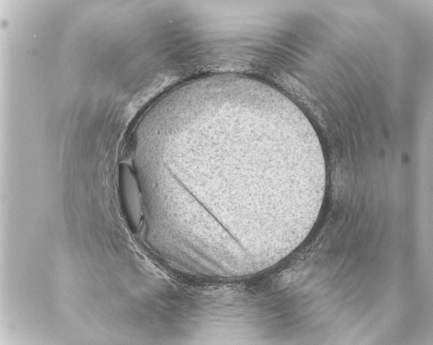 X0000088610721200706221430