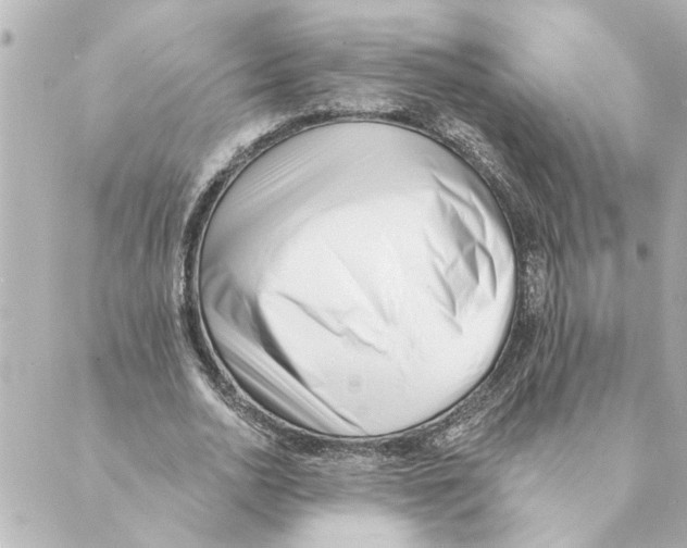 X0000088610726200706221430