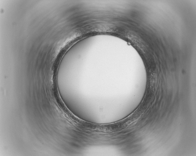 X0000088610727200706221430