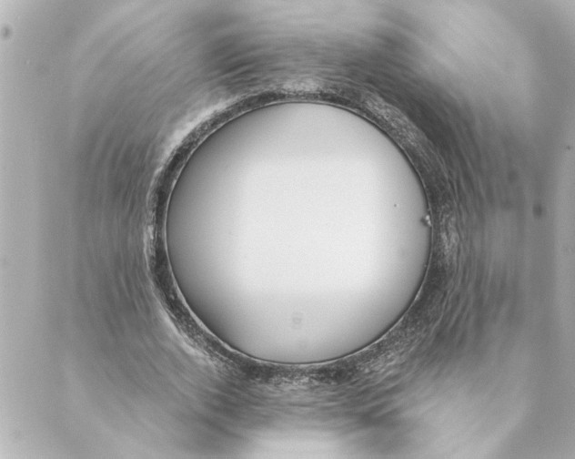 X0000088610728200706221430