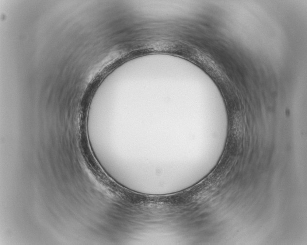 X0000088610730200706221430