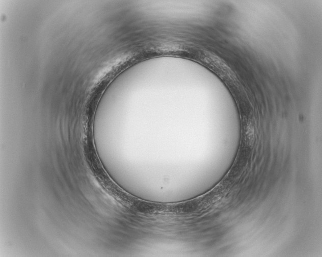 X0000088610732200706221430