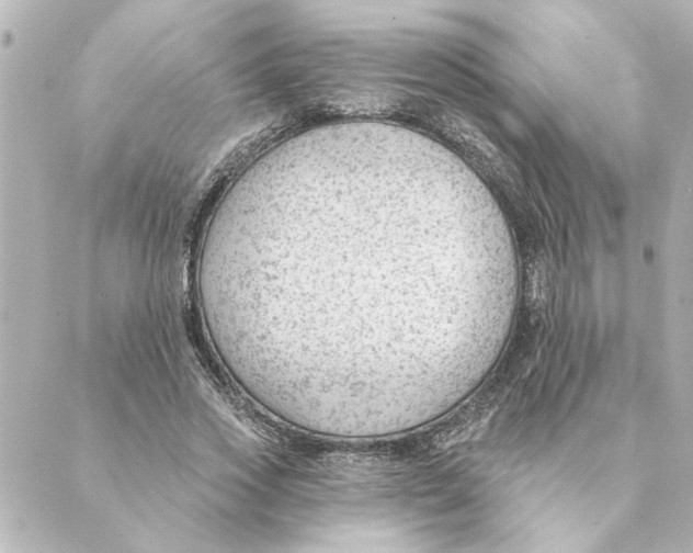 X0000088610733200706221430