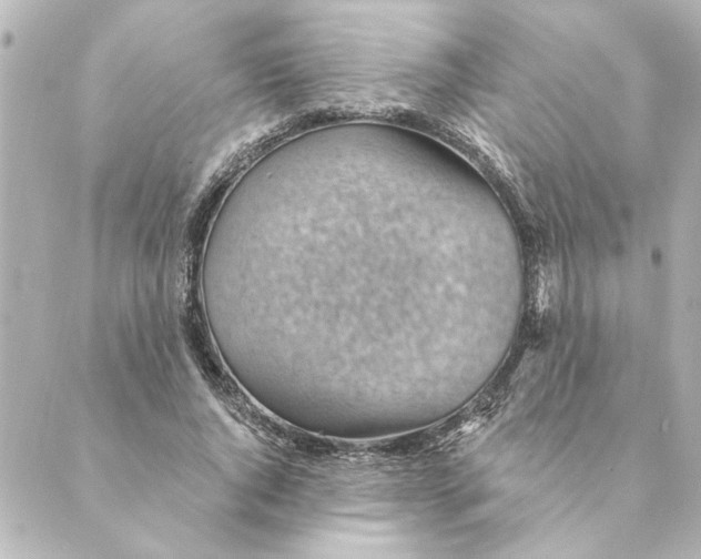 X0000088610736200706221430