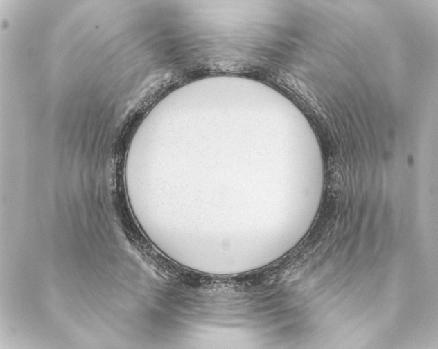 X0000088610738200706221430